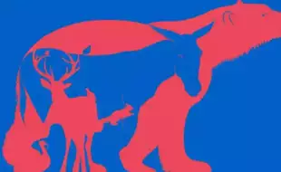 Optical Illusion: Which Animal You See First Describes Your Personality