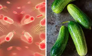 Recalled Cucumbers In Salmonella Outbreak Behind Illnesses In 31 US States, CDC Says