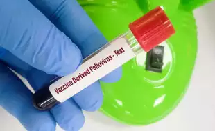 Explainer: As Meghalaya Boy Gets Polio From Vaccine, Let's Understand What's Vaccine-Derived Poliovirus