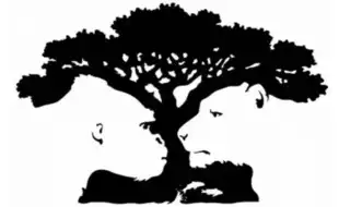 Optical Illusion Personality Test: What Did You See First Reveals About Your Strengths And Weaknesses