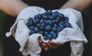 What Happens To Your Body When You Eat Blueberries Everyday?