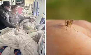 US Teen Left Paralyzed Neck Down After Contracting West Nile Virus From Mosquito Bite