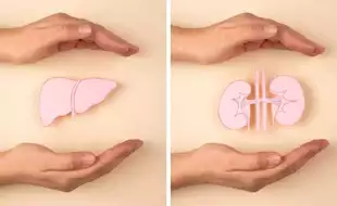 5 Morning Habits To Detox Your Liver And Kidneys