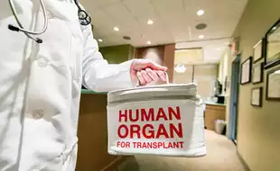 India Faces Growing Organ Donation Crisis Amid Pollution and Awareness Gap