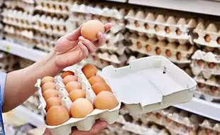 US FDA Issues Class 1 Recall For Costco Eggs Over Salmonella Contamination Risks