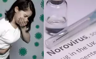 Why Is Norovirus So Hard To Kill? Here's How You Can Protect Yourself From the `Perfect Pathogen'