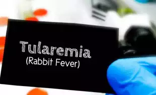 What Is Tularemia, A Highly Infectious Disease Spread by Rodents and Rabbits Rising Significantly in the US