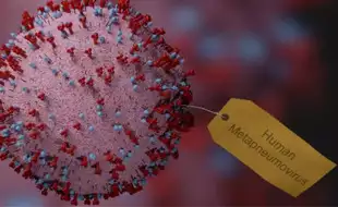HMPV Virus Symptoms: These Are The Signs Of New Virus Outbreak In China