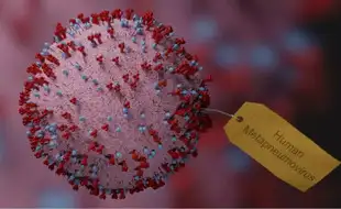 HMPV Cases Surge In Malaysia After China Outbreak, Public Cautioned; Know Ways To Prevent Yourself