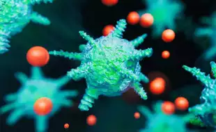 Norovirus Outbreak Leaves One Passenger Dead And Dozens Sick On A Cruise Ship In US