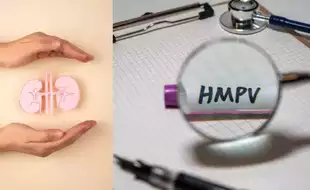Does HMPV Affect Your Kidneys? Experts Say Risks Not Just Related To Respiratory Complications