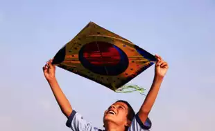 Makar Sankranti 2025: Most Common Mishaps During Kite Flying Festival, The Do's And Don’ts to Follow