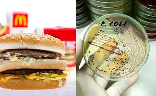 US McDonald's October E. Coli Outbreak Due to Little Handwashing and Dirty Equipment, Says FDA; How Deadly is the Bacteria?