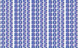 Optical Illusion Test: In A Sea Of 8055, Find The ‘BOSS’
