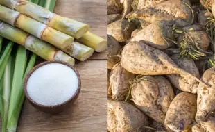 Cane Sugar vs. Beet Sugar: Which One is Healthier?