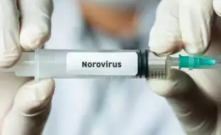 Doctors Warn About A Dangerous Symptom Amid Norovirus Outbreak In the US