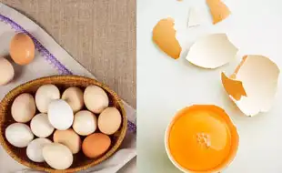 Eggs are Completely Vegetarian, Says Food Expert In A Shocking Explainer; Here's How