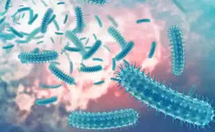 Why Are Cases of Guillain-Barre Syndrome Rising in Pune? Know All About The Pathogenic Bacteria Behind the Condition
