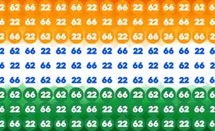 Republic Day Special Optical Illusion Puzzle: In The Parade Of Identical Pairs, Find The Lone Soldier 26