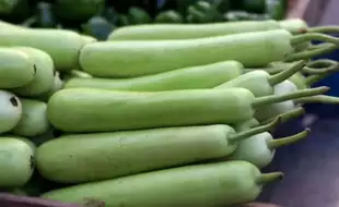 Not Just Weight Loss: 7 Reasons Why Lauki Should Be A Part of Your Daily Diet