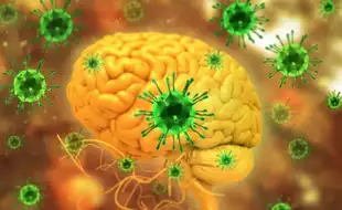 First-Ever Henipavirus Confirmed In North America—Here Are The Warning Signs!