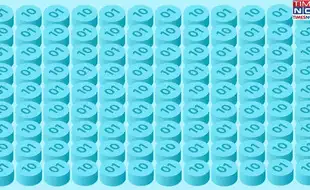 Optical Illusion Eye Test: In A Pride Of Identical Numbers, Find The Lone Lion 07
