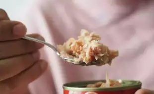 FDA Recalls Canned Tuna Sold At Trader's Joe Due to Fear of Botulism; What Are the Signs of This Fatal Condition?