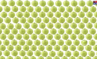 Optical Illusion Test: In A Basket Full Of Guavas, Find The Single Green Apple!
