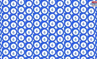 Optical Illusion Challenge: In A Pack Of 6's, Find The Lone Wolf 5