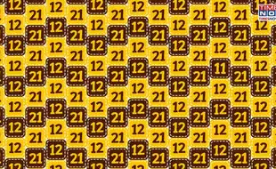 Optical Illusion Eye Test: In A Swarm Of Identical Pairs, Find The Lone Bee 11