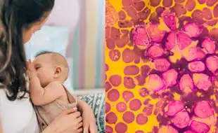 Does Breastfeeding Lower Cancer Risk in Children? Expert Says Yes; Here's How