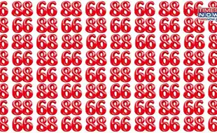 Optical Illusion Eye Test: In A Fleet Of Identical Pairs, Can You Spot The Lone ‘68’?