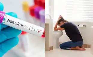 UK Battles Deadly ‘Vomiting Bug’: 400 Cases And Rising, US At Risk?