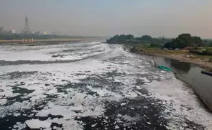 Is Delhi Water Safe? How Rising Ammonia Levels In Yamuna Can Harm Your Health – Tips To Stay Safe