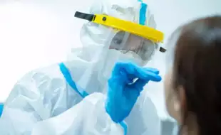 Thailand On Alert After Finding HKU5-CoV-2 Virus In Bats—Should You Worry?