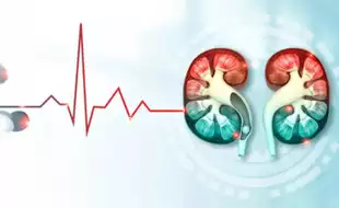 Warning Signs of Kidney Damage That May Show Up At Night; Ways To Prevent These