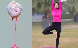 What Is the Flamingo Balance Test That Reveals Your Level of Fitness? Here's How You Can Check
