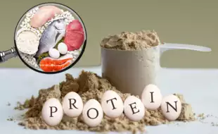 Protein Powder Isn’t Just for Gym Freaks: Know Who Needs It and How to Choose the Right One