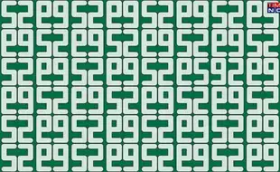 Optical Illusion Eye Test: Find The Lone 59 In This Trippy Tricky Brain Teaser