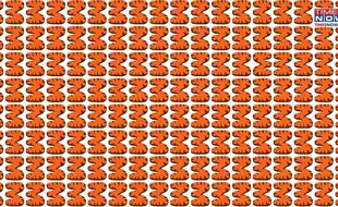 Optical Illusion Eye Test: In An Ocean Of 3s, Find The Lone Alphabet E