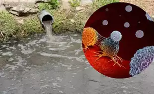 ICMR Says Those Living Near Drains Are At High Risk of Developing Cancer; Here's Why