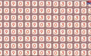 Optical Illusion Eye Test: In A Class Of 3,9 and 0s, Find The Lone Roll Number 6