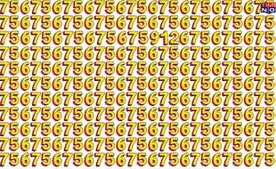Optical Illusion Eye Test: In A Colony Of 675, Find The Lone Couple 912