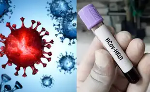 Kolkata Woman Diagnosed With Human Coronavirus HKU1—Symptoms And Risks To Watch Out For
