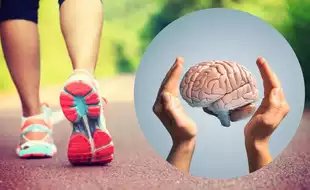 What Happens To Your Brain When You Walk 3 Days A Week For 40 Minutes?