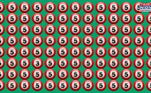 Optical Illusion Eye Test: In A Pool Of Number 5, Find The Lone Ball 3