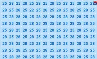 Optical Illusion Eye Test: In A Colony Of Identical Pairs, Find The Lone Couple 22