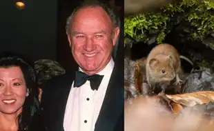 Hantavirus Pulmonary Syndrome: Virus That Killed Gene Hackman's Wife Causes 3 More Deaths; Know the Symptoms