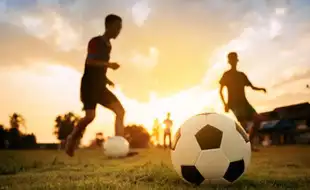 World Health Day 2025: What Happens To Your Brain When You Start Playing Sports—Experts Weigh In