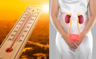 Alert! Heat Waves Can Damage Your Kidneys; Here's How to Stay Safe